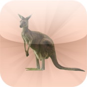 Animals Of Australia Animals Of Australia